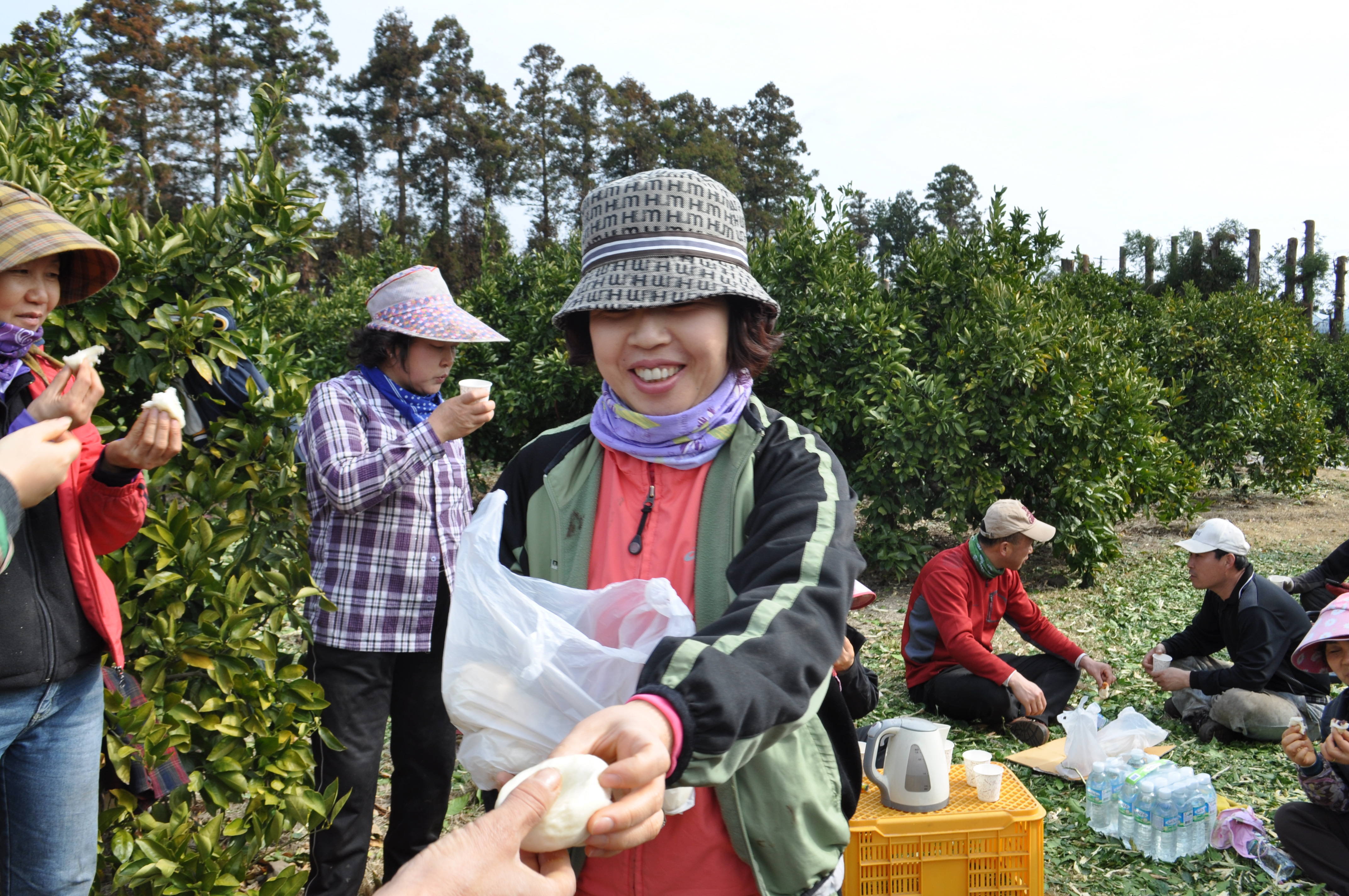 간벌봉사활동 중입니다!